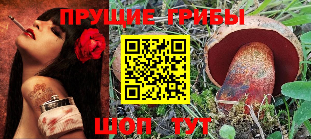купить наркотики цена  Псилоцибиновые грибы MAGIC MUSHROOMS  Вход с VPN  Ярцево 