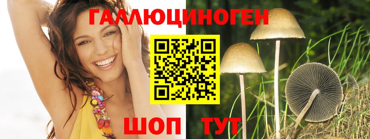 Галлюциногенные грибы Psilocybine cubensis Ярцево